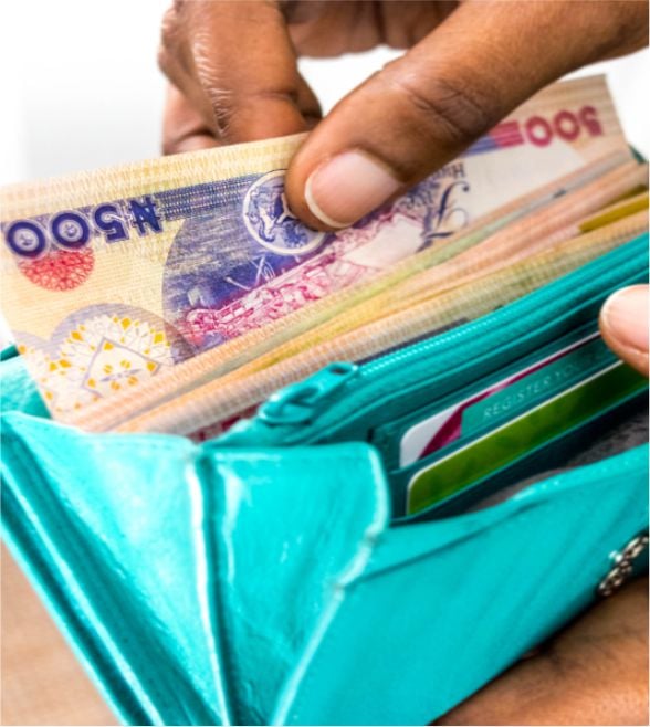 Nigeria’s 2025 budget and the economy